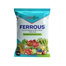Ferrous Sulphate - 19%  1 kg
