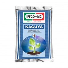 [IFG0070] KAGUYA 100 GM (5KG)