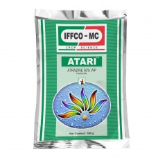 [IFG0012] ATARI 1000 GM