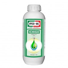 [IFG0053] ICHIGO 250 ML