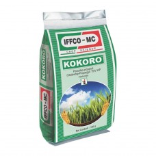 [IFG0090] KOKORO 160 GM