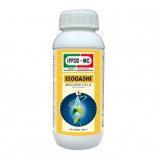[IFG0060] ISOGASHI 100 ML