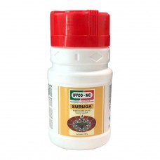 [IFG0246] SURUGA 120 GM